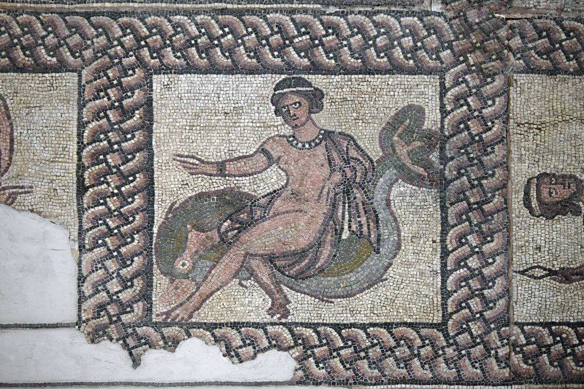 Dettaglio con ninfa su delfino del mosaico pavimentale della Domus di Via Dogana.