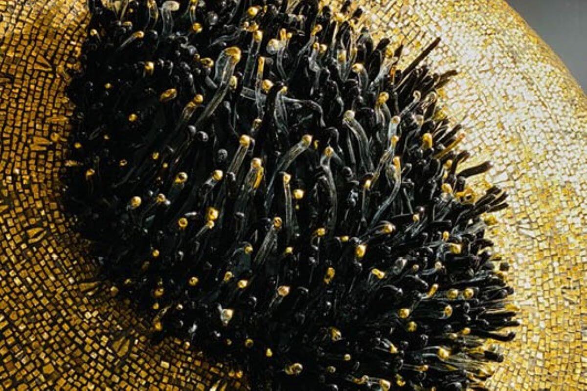 OPERE DAL MONDO- La luce del nero e dell'oro.