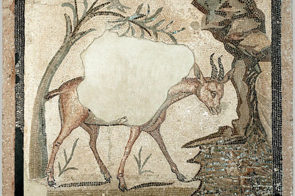 Immagine del mosaico della gazzella.