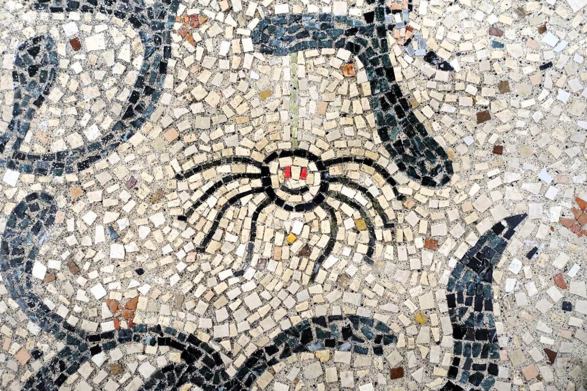 Foto di un dettaglio del pavimento a mosaico con un ragno che sorride, con gli occhi rossi