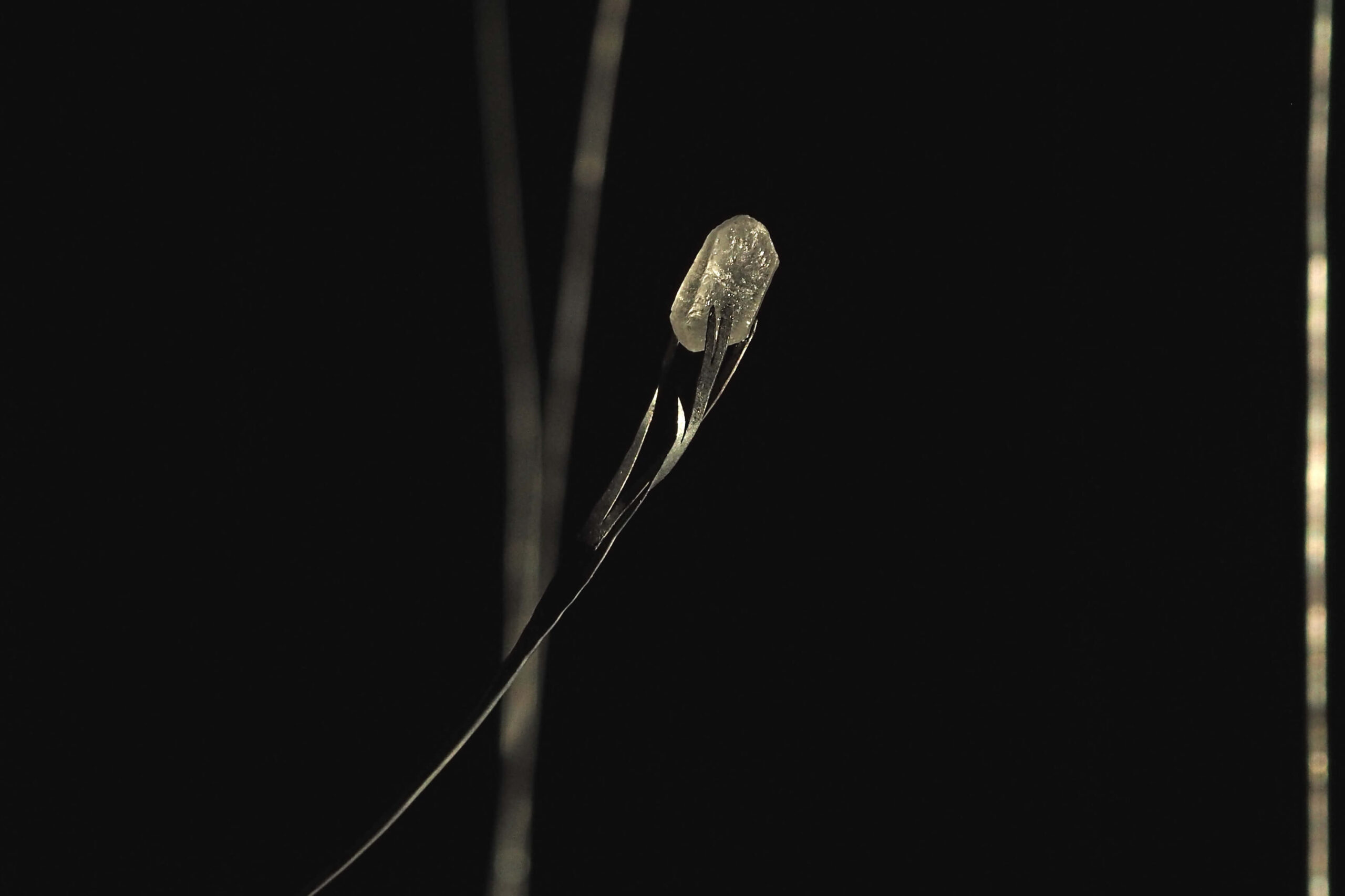 Foto di una piccola tessera di vetro installata su un filo di ferro come uno stelo.