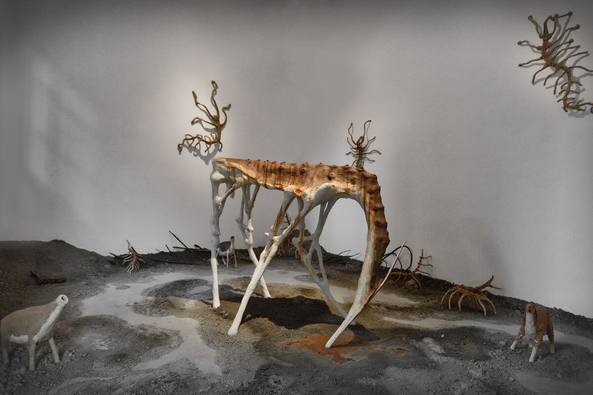 Foto dell'allestimento con le opere di Lorenzo Scarpellini.