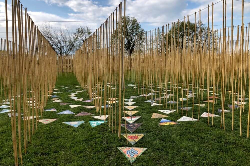 Foto di un campo con un labirinto formato da canne e mosaici pavimentali triangolari